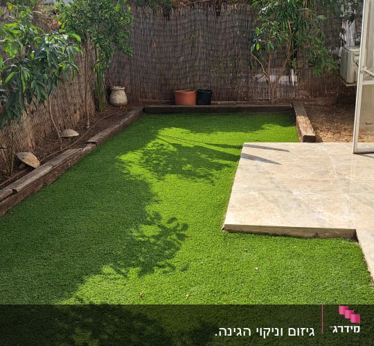 גינה עם עצים ושיחים הדורשים גיזום